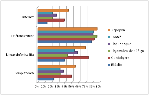 Gráfico 2. Porcentaje de penetración de las TIC al 2010 en los hogares de la zona metropolitana.