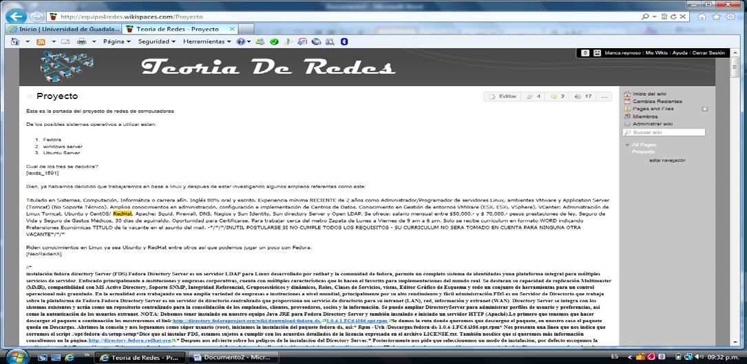 Imagen 6: wiki de la materia de Teoria de Redes.