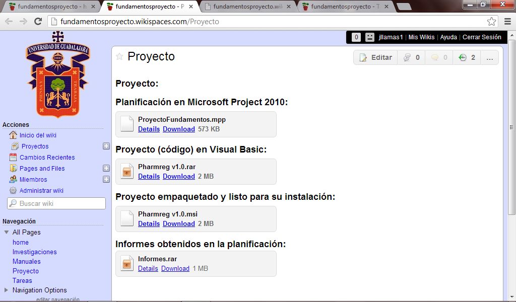 Imagen 8: wiki de la materia de Fundamentos de Ingeniería del software.