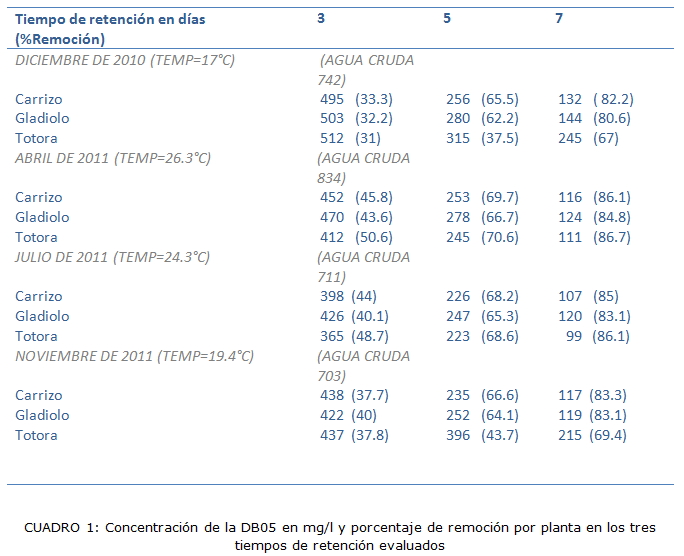 Cuadro 1: Concentración de la DB05 en mg/l y porcentaje de remoción por planta en los tres tiempos de retención evaluados