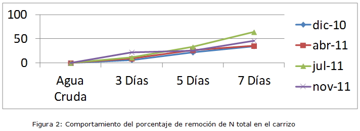 Figura 2: Comportamiento del porcentaje de remoción de N total en el carrizo