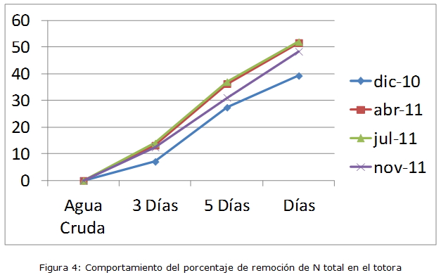 Figura 4: Comportamiento del porcentaje de remoción del nitrógeno total en la totora
