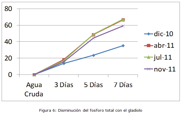 Figura 6: Disminución del fósforo total con el gladiolo