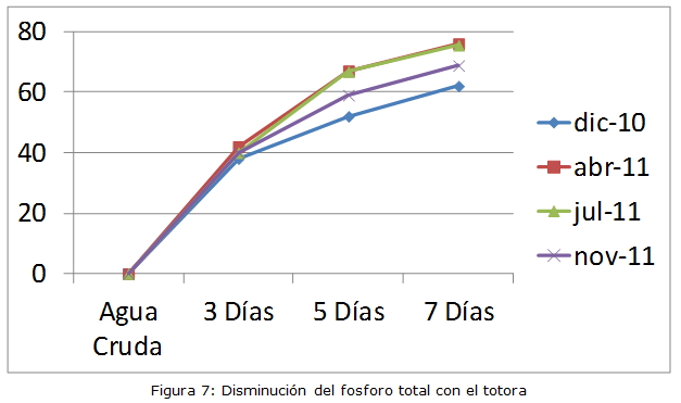 Figura 7: Disminución del fósforo total con la totora