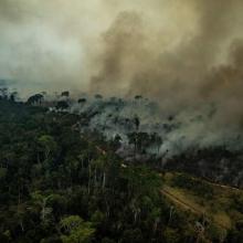 Incendio en la Amazonía