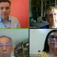 expertos durante el webinario