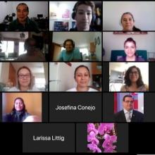 Imagen de pantalla durante webinario