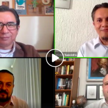 expertos durante el webinario