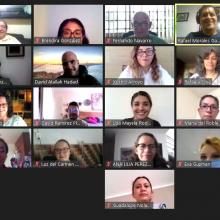 Asistentes en línea al seminario