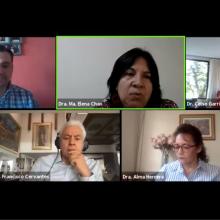 Ponentes durante el webinario