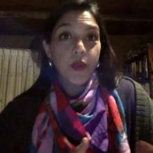 Académica Ana Francisca Viveros