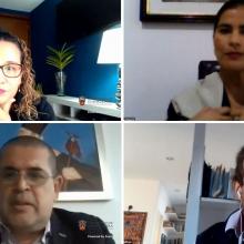 Participantes virtuales durante el seminario