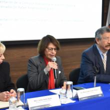 Rectora del Sistema de Universidad Virtual durante proceso de evaluación