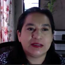 Dra. Carmen Chinas Salazar