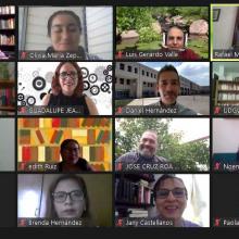 Asistentes durante el seminario virtual