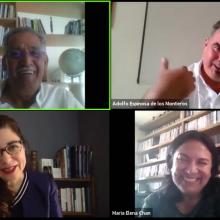 expertos durante el webinario