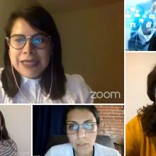 Participantes durante webinar