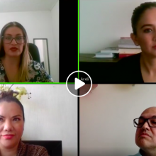 Participantes del webinario 